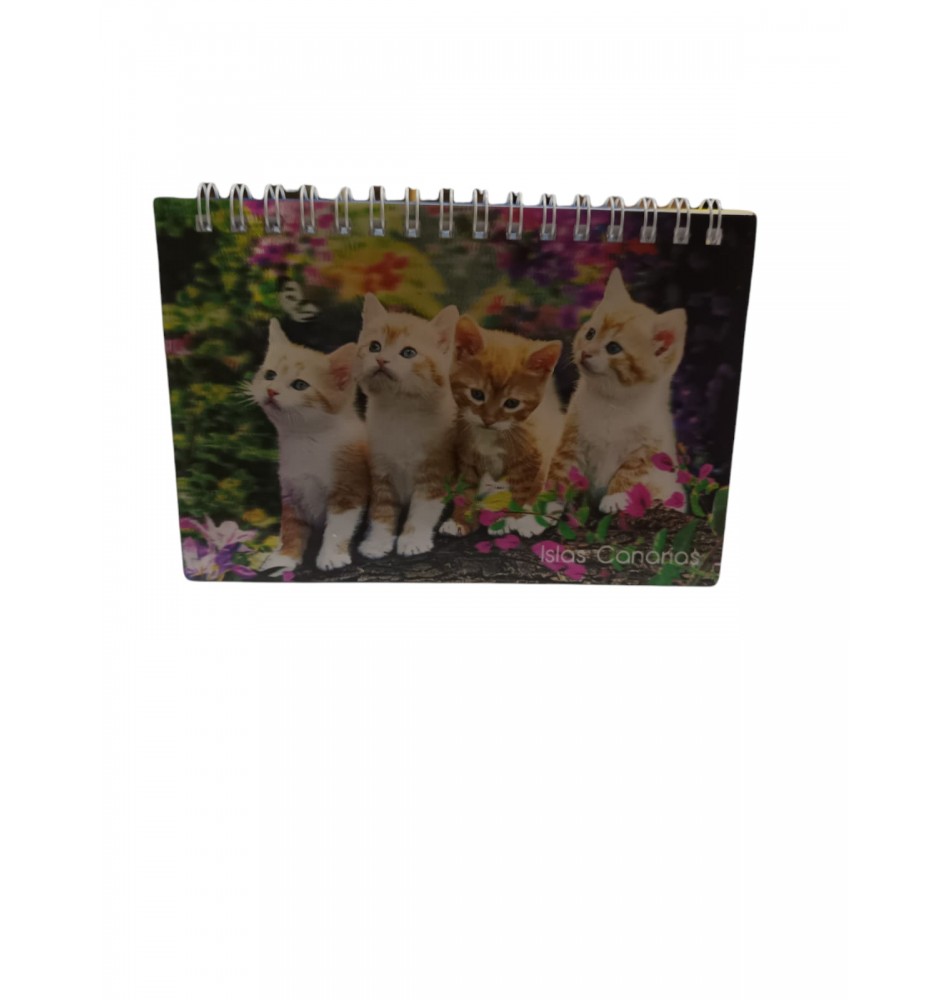 Agenda 3D gatitos